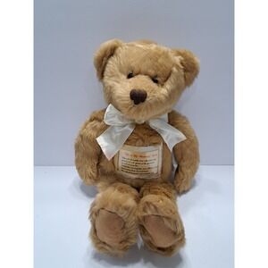 Avon Me & my Mommy bear plush brown bear with picture pocket -15" tall
